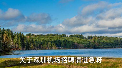 關(guān)于深圳機(jī)場招聘請進(jìn)急呀