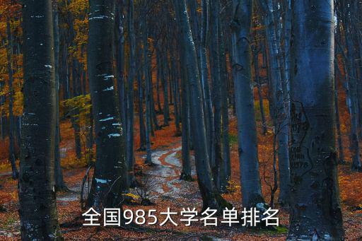 全國高等學校名單，全國985大學名單排名