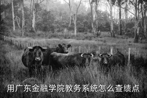 廣東金融學院教務系統，請問一下廣東金融學院部分專業在哪里上課