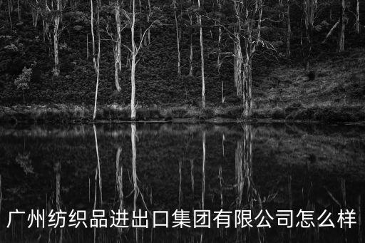 廣州紡織品進(jìn)出口集團(tuán)有限公司怎么樣