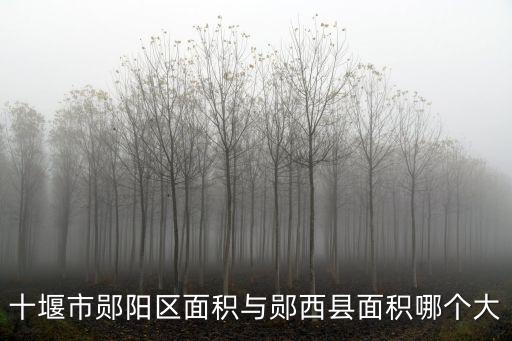 十堰市鄖陽區(qū)面積與鄖西縣面積哪個大