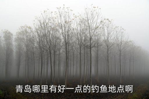 青島哪里有好一點的釣魚地點啊