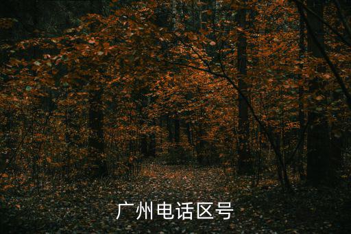 廣州電話區號