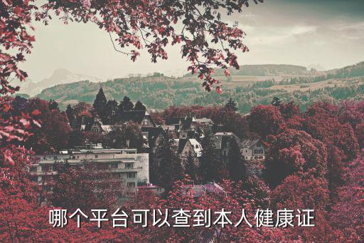 哪個平臺可以查到本人健康證