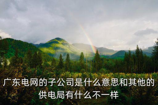 廣東電網(wǎng)的子公司是什么意思和其他的供電局有什么不一樣