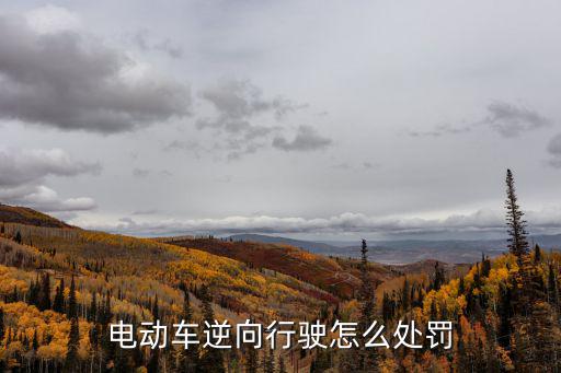 電動車逆向行駛怎么處罰