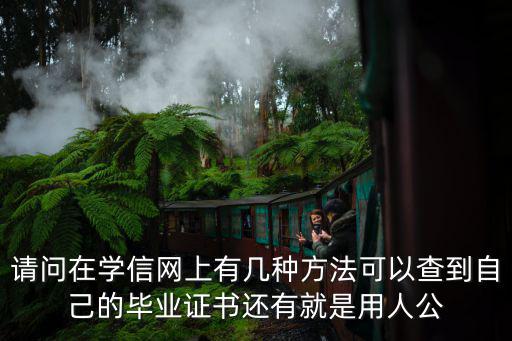 學(xué)信網(wǎng)畢業(yè)證查詢，請(qǐng)問(wèn)在學(xué)信網(wǎng)上有幾種方法可以查到自己的畢業(yè)證書(shū)還有就是用人公