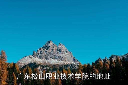 廣東松山職業技術學院的地址