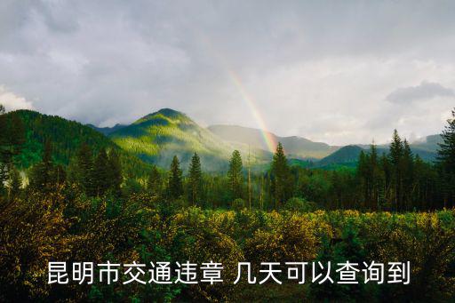 交通違法，956122網(wǎng)云南交通違法處理可以不扣分嗎