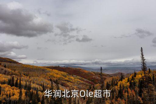 華潤北京Ole超市