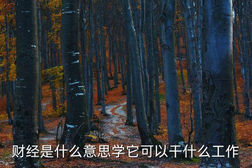 財(cái)經(jīng)是什么意思學(xué)它可以干什么工作