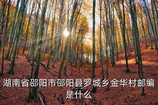 湖南省邵陽市邵陽縣羅城鄉金華村郵編是什么