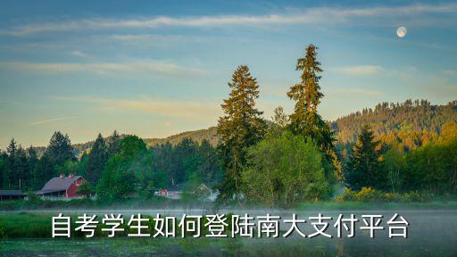 自考學生如何登陸南大支付平臺