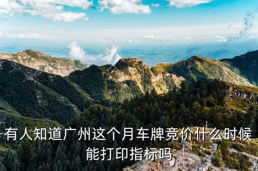 有人知道廣州這個(gè)月車牌競(jìng)價(jià)什么時(shí)候能打印指標(biāo)嗎
