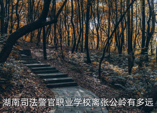 湖南司法警官職業(yè)學(xué)校離張公嶺有多遠(yuǎn)