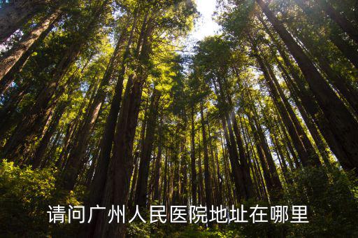廣州人民醫院，廣州人民醫院靠近那個火車站
