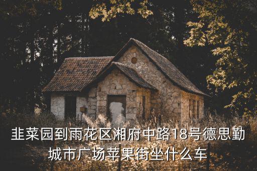 韭菜園到雨花區湘府中路18號德思勤城市廣場蘋果街坐什么車