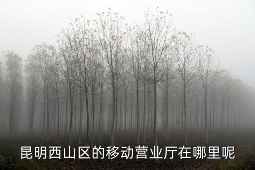 昆明西山區(qū)的移動營業(yè)廳在哪里呢