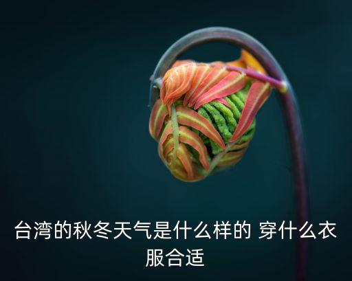 臺灣的秋冬天氣是什么樣的 穿什么衣服合適