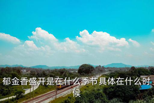 郁金香盛開是在什么季節具體在什么時候