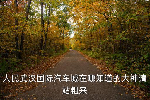 人民武漢國(guó)際汽車城在哪知道的大神請(qǐng)站粗來