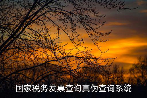 國家稅務發票查詢真偽查詢系統