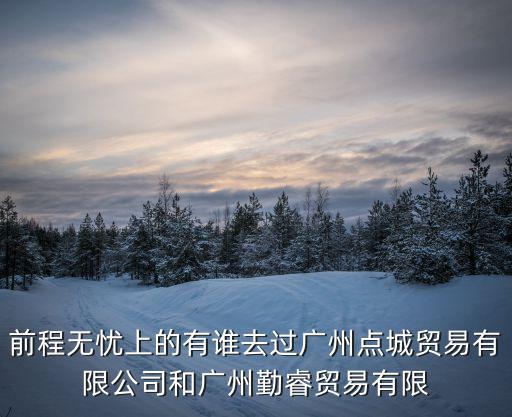 前程無(wú)憂上的有誰(shuí)去過廣州點(diǎn)城貿(mào)易有限公司和廣州勤睿貿(mào)易有限