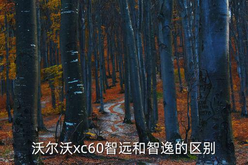 沃爾沃xc60智遠和智逸的區別