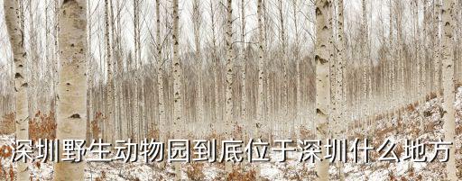 深圳野生動物園到底位于深圳什么地方