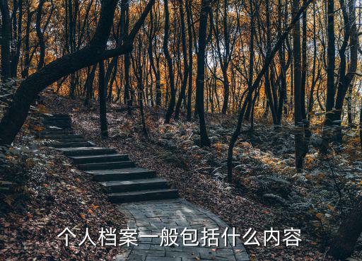 個人檔案里面都有什么資料，個人資料包括哪些內容