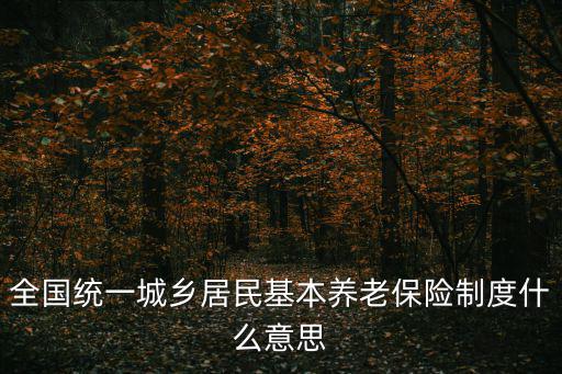 全國統一城鄉居民基本養老保險制度什么意思