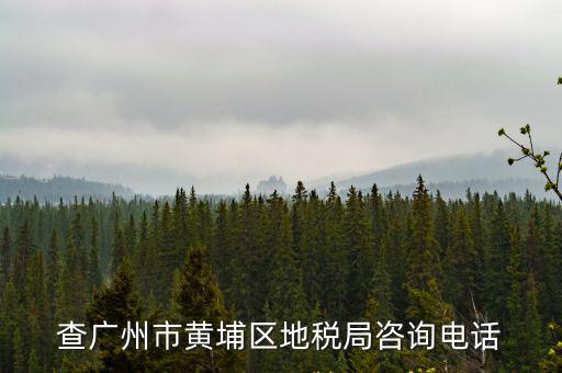 廣州地稅局，廣州海珠區地稅局在哪