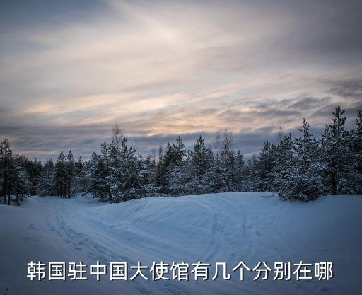 韓國(guó)駐中國(guó)大使館有幾個(gè)分別在哪