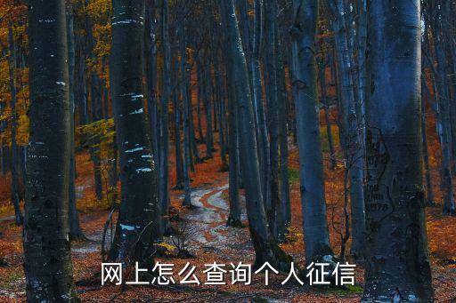 征信查詢網上查詢，怎樣從網上查詢個人征信報告