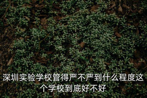 深圳實驗學校管得嚴不嚴到什么程度這個學校到底好不好