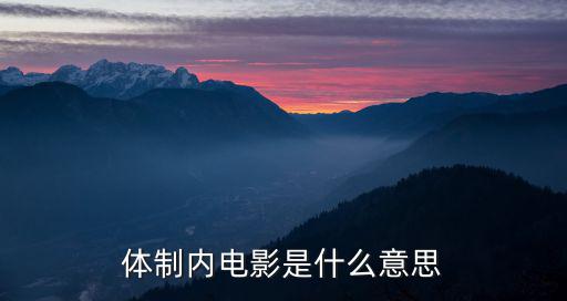 體制內電影是什么意思