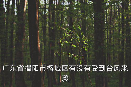 廣東省揭陽市榕城區，廣東省揭陽市榕城區有沒有受到臺風來襲