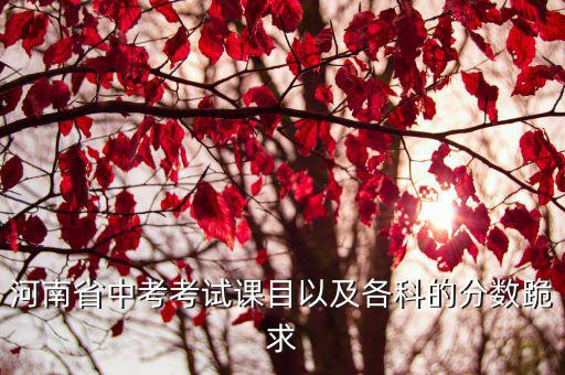河南省中考考試課目以及各科的分?jǐn)?shù)跪求