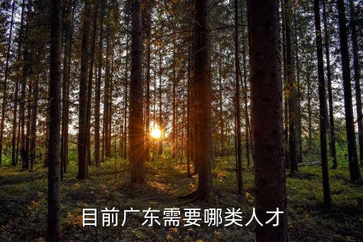 目前廣東需要哪類人才