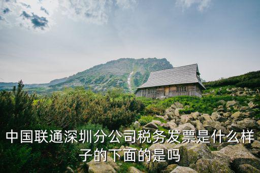 深圳發票，深圳的辦公用品發票到底是開國稅增值稅普通還是地稅發票  搜