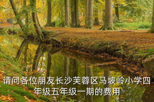 請(qǐng)問各位朋友長(zhǎng)沙芙蓉區(qū)馬坡嶺小學(xué)四年級(jí)五年級(jí)一期的費(fèi)用