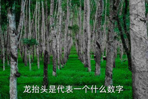 龍?zhí)ь^是代表一個(gè)什么數(shù)字