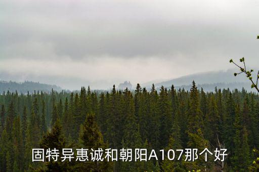 固特異惠誠和朝陽A107那個(gè)好
