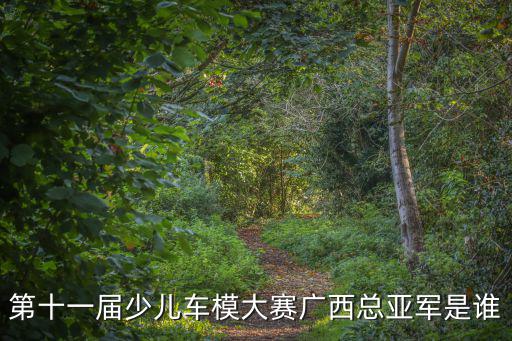 第十一屆少兒車模大賽廣西總亞軍是誰