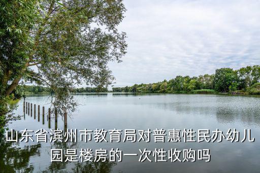 山東省濱州市教育局對(duì)普惠性民辦幼兒園是樓房的一次性收購嗎