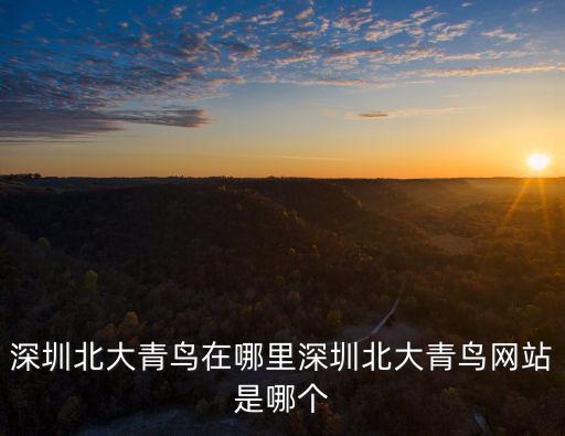 深圳北大青鳥在哪里深圳北大青鳥網站是哪個