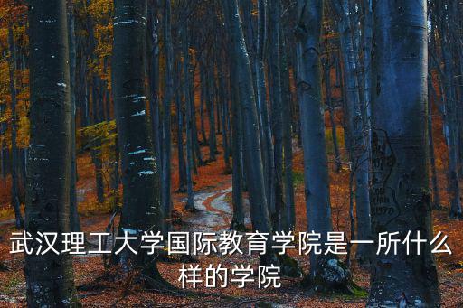 武漢理工大學國際教育學院是一所什么樣的學院