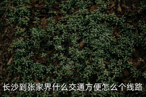 長沙到張家界什么交通方便怎么個線路