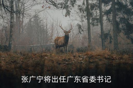 張廣寧將出任廣東省委書記