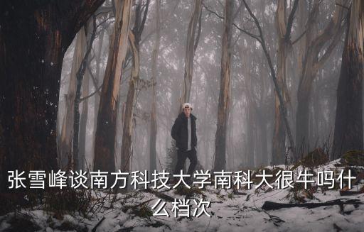 南京科技大學，如何看待南京科技大學自主招生